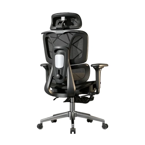 ERGOPLUS - Imagen 2